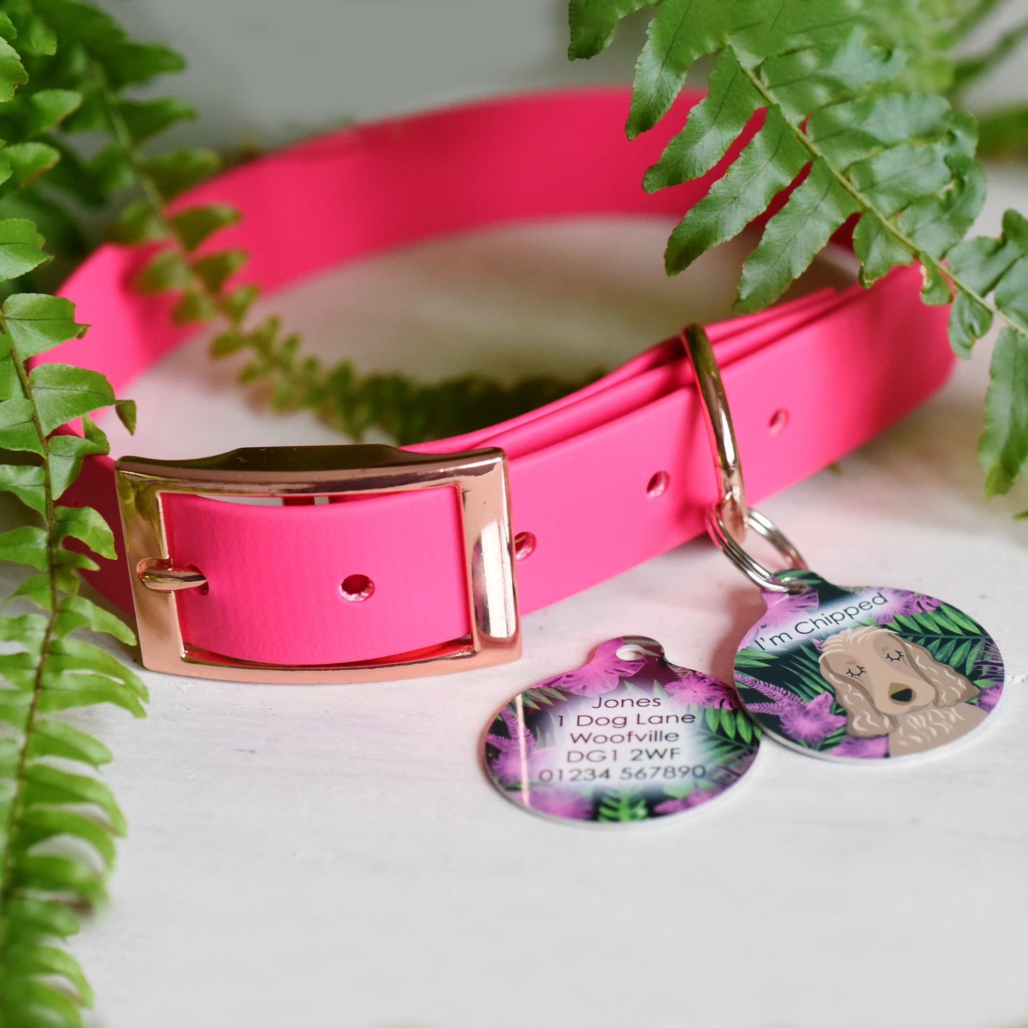 Personalised Lost in the Jungle Dog Collar and Id Tag