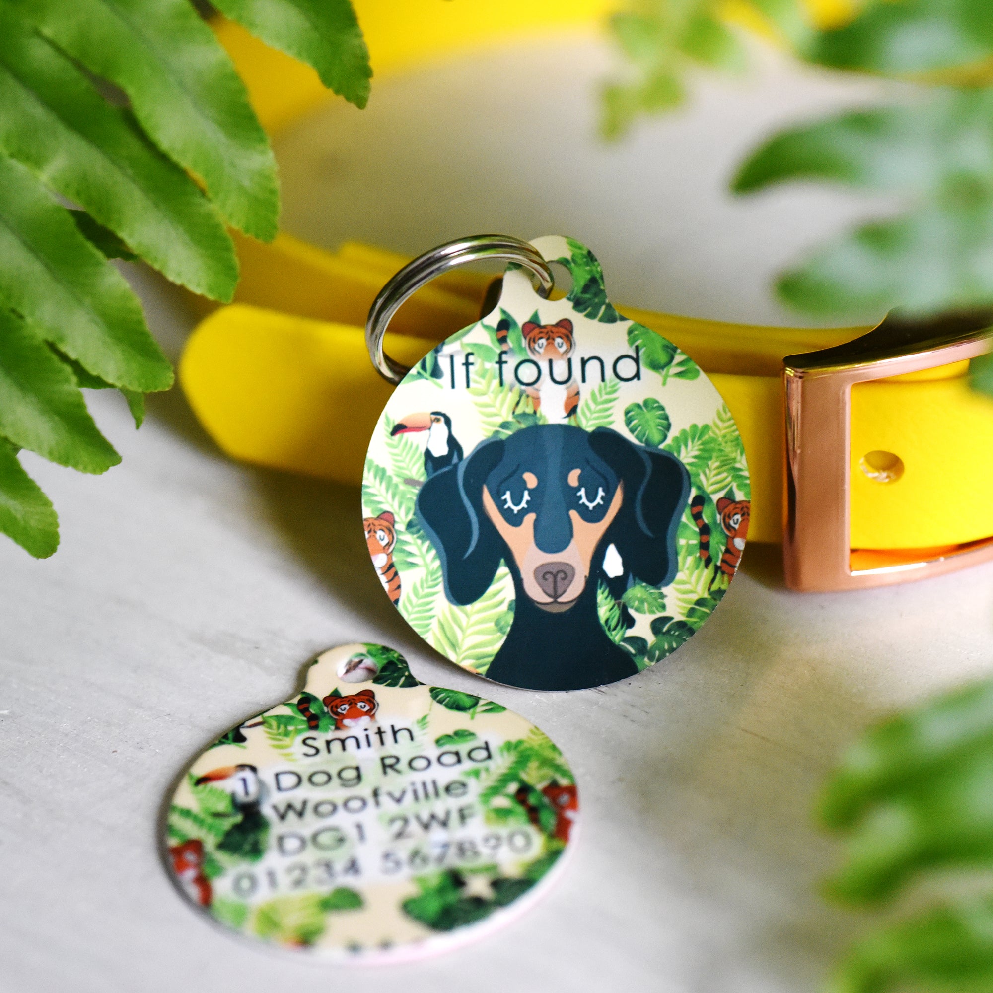 Personalised Lost in the Jungle Dog Collar and Id Tag