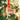 English Pointer Personalised Wooden Christmas Decoration