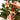 Wooden Dog Christmas Decoration Personalised With Dog's Name