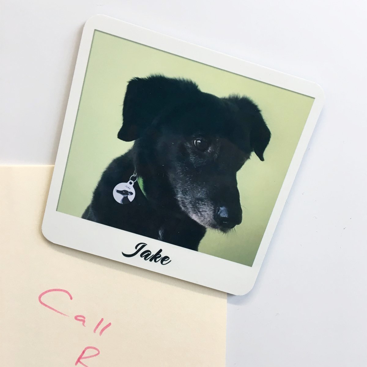 Personalised Retro Photo Fridge Magnet  - Hoobynoo - Personalised Pet Tags and Gifts