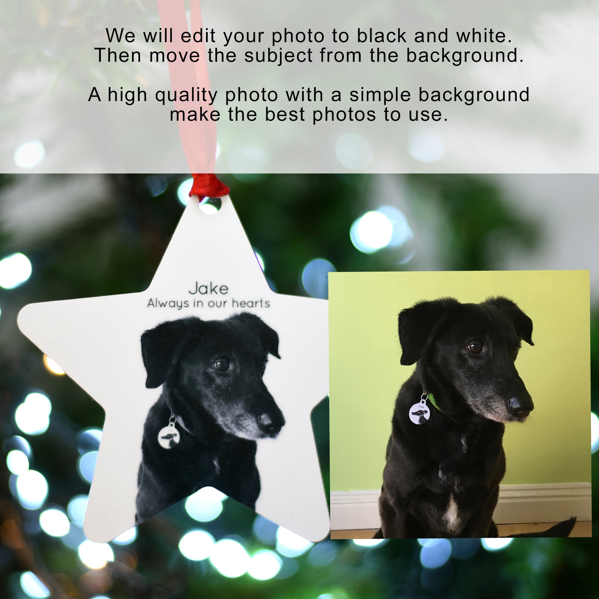 Pet Photo Christmas Decoration