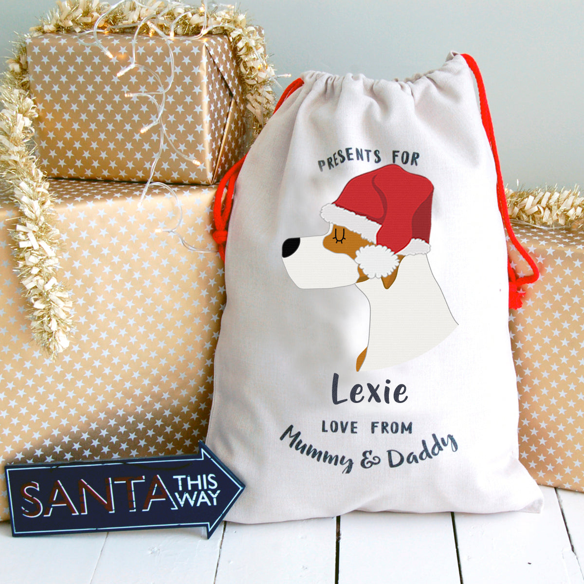 Pointer Personalised Christmas Present Sack