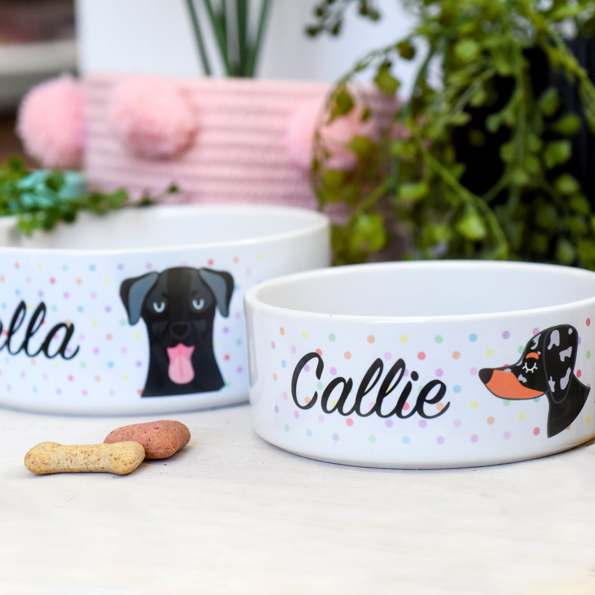 Personalised Ceramic Dog Bowl - Hoobynoo Birthday Dots