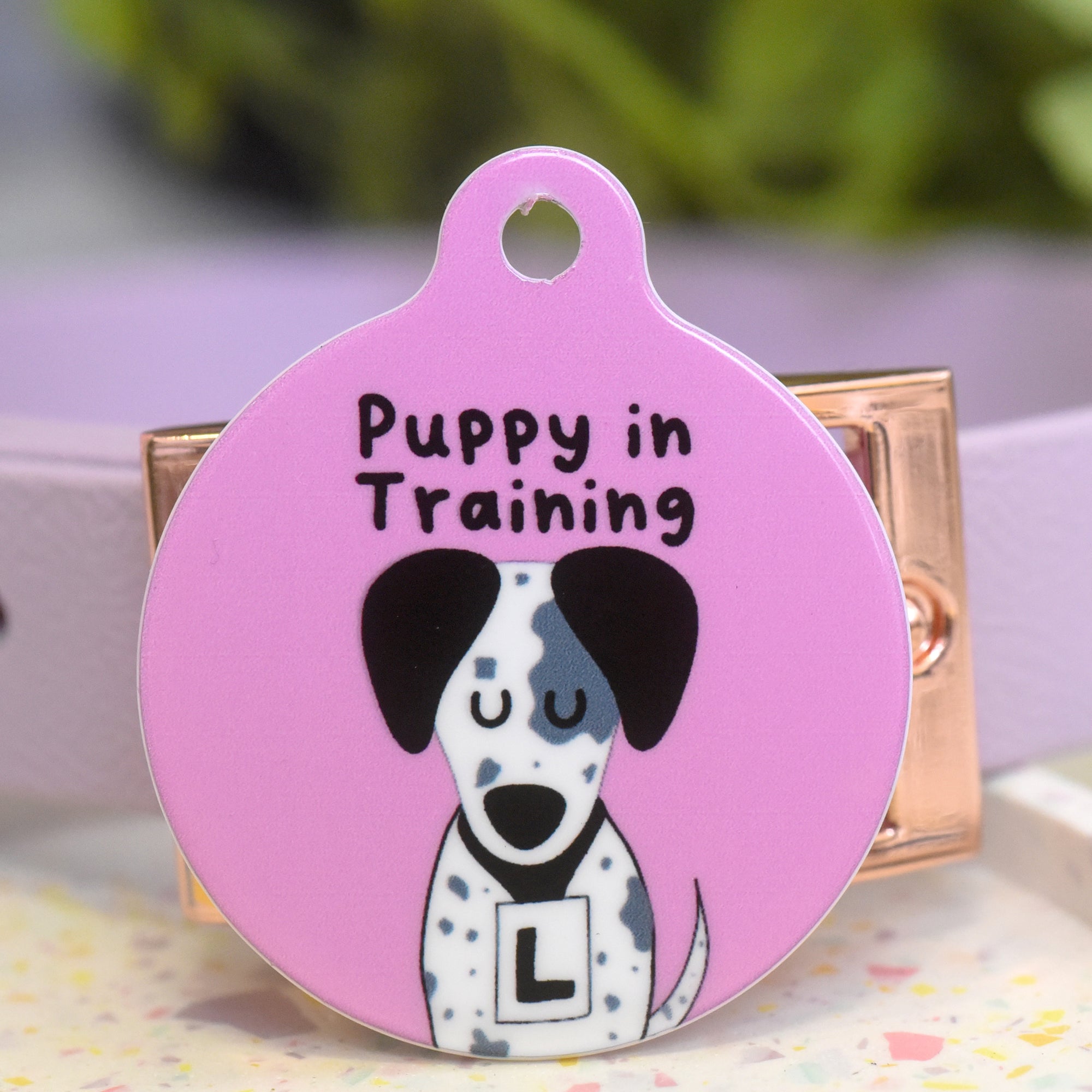 Slogan Dog Tag - Puppy in Training