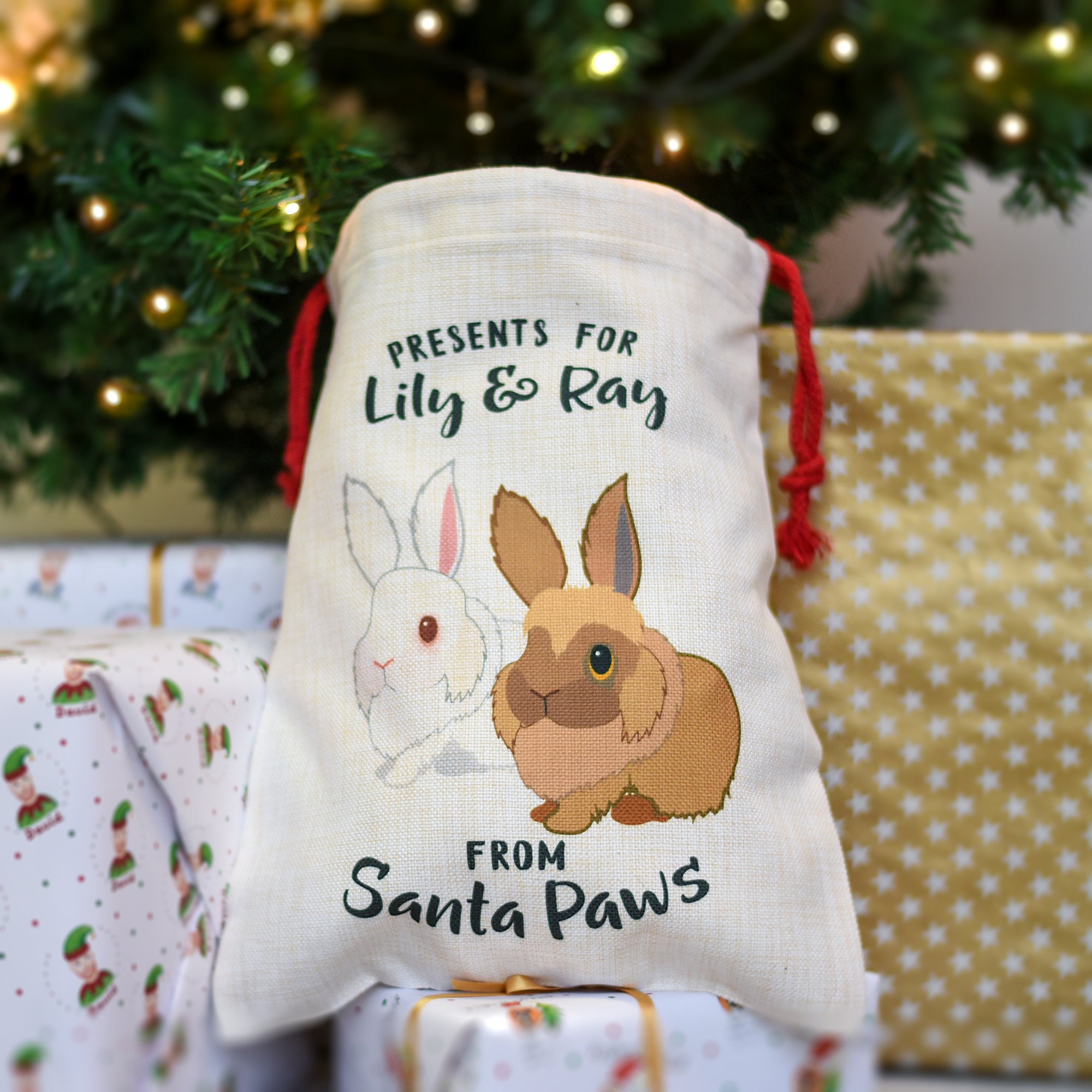 Rabbit Persoanlised Christmas Present Sack