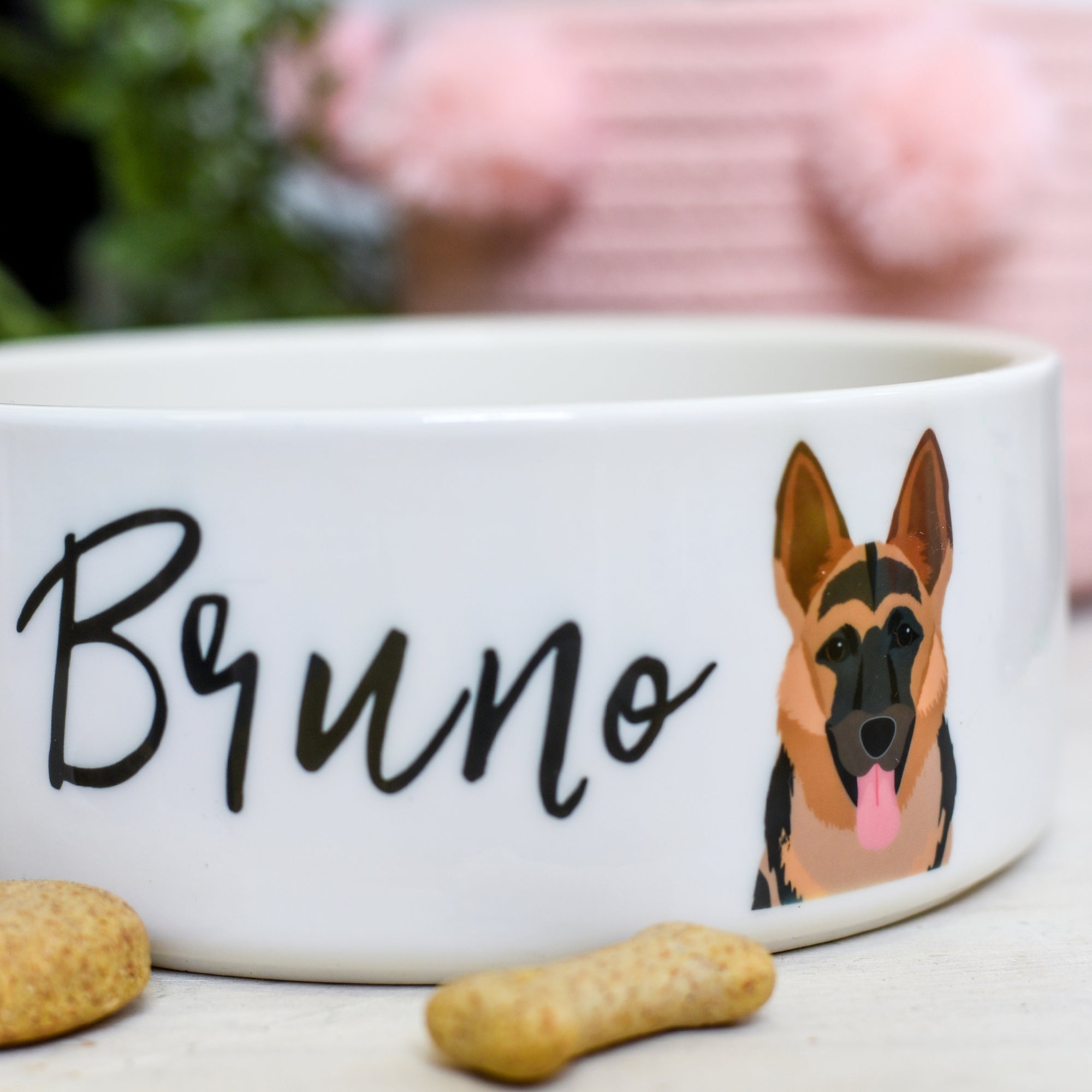 Personalised Ceramic Dog Bowl - Realistic Illustrations