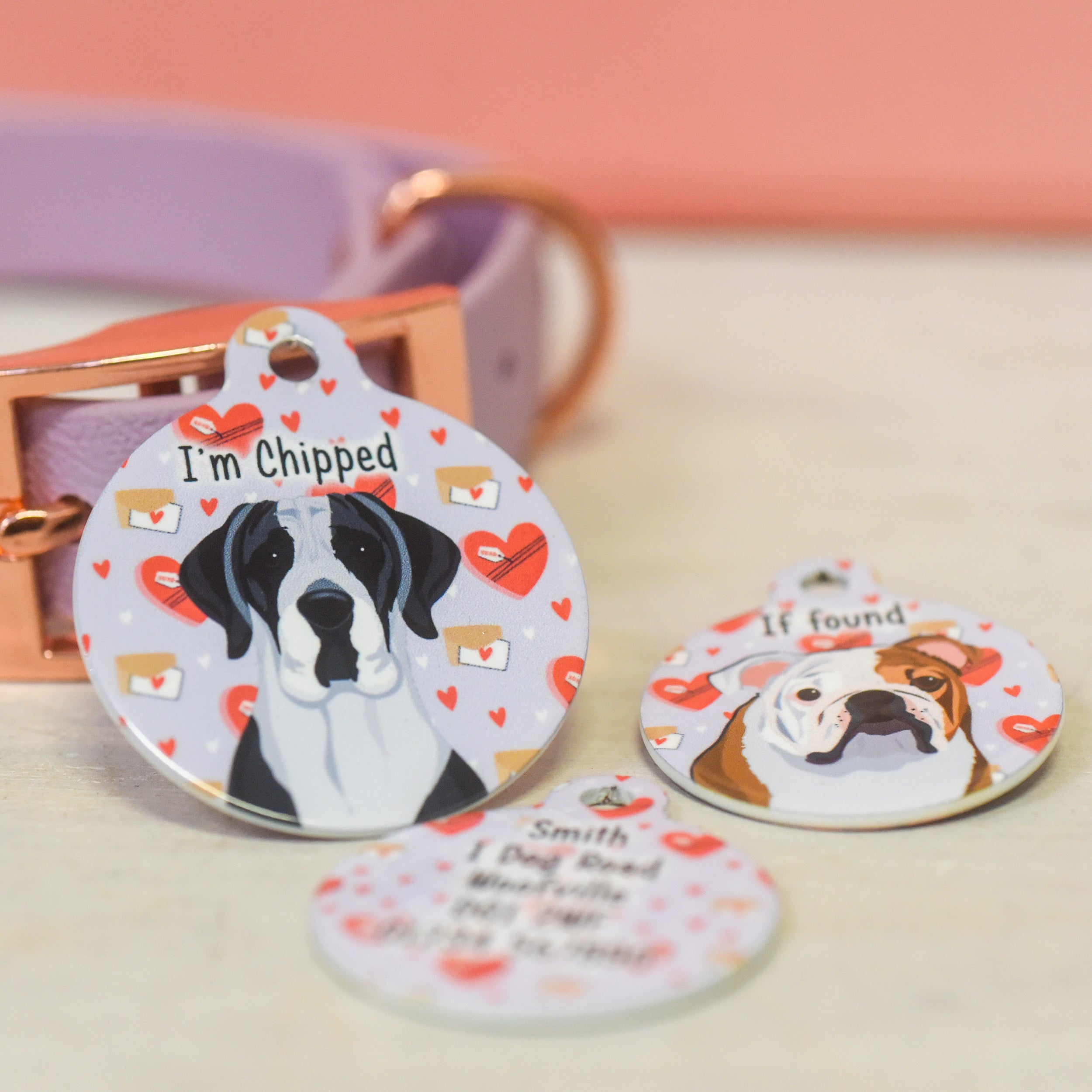 Found new arrivals dog collar