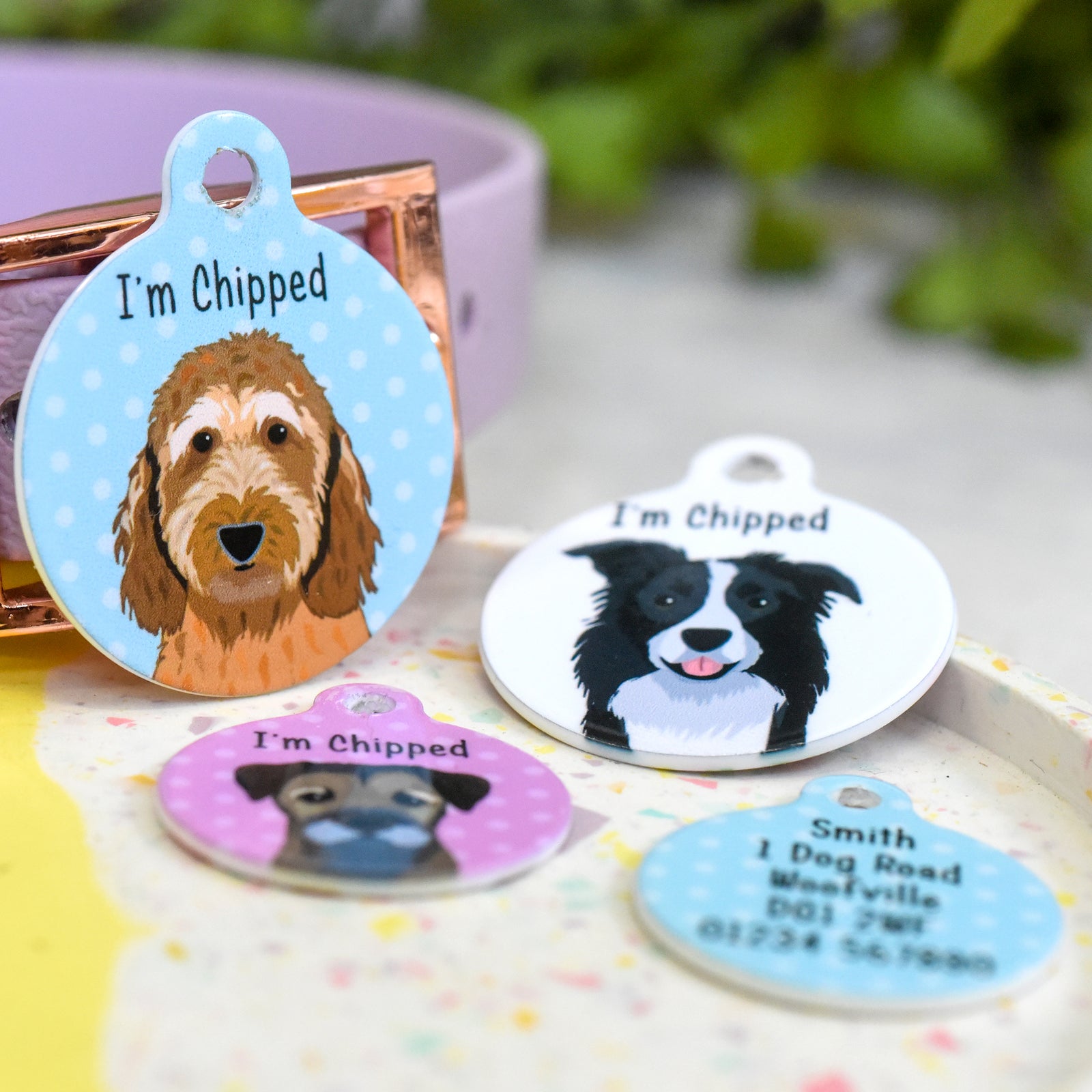 Dog id disc on sale