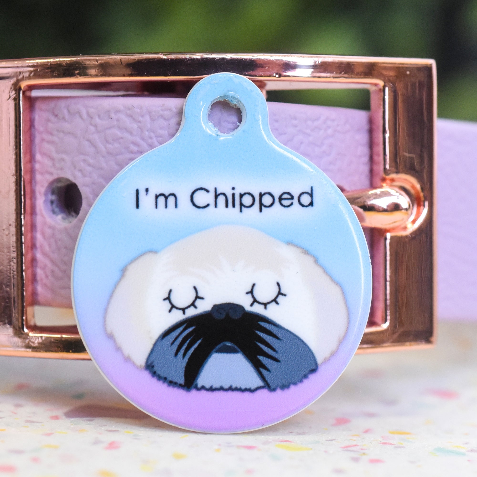 Shih Tzu  Personalised Dog Tag - Ombre