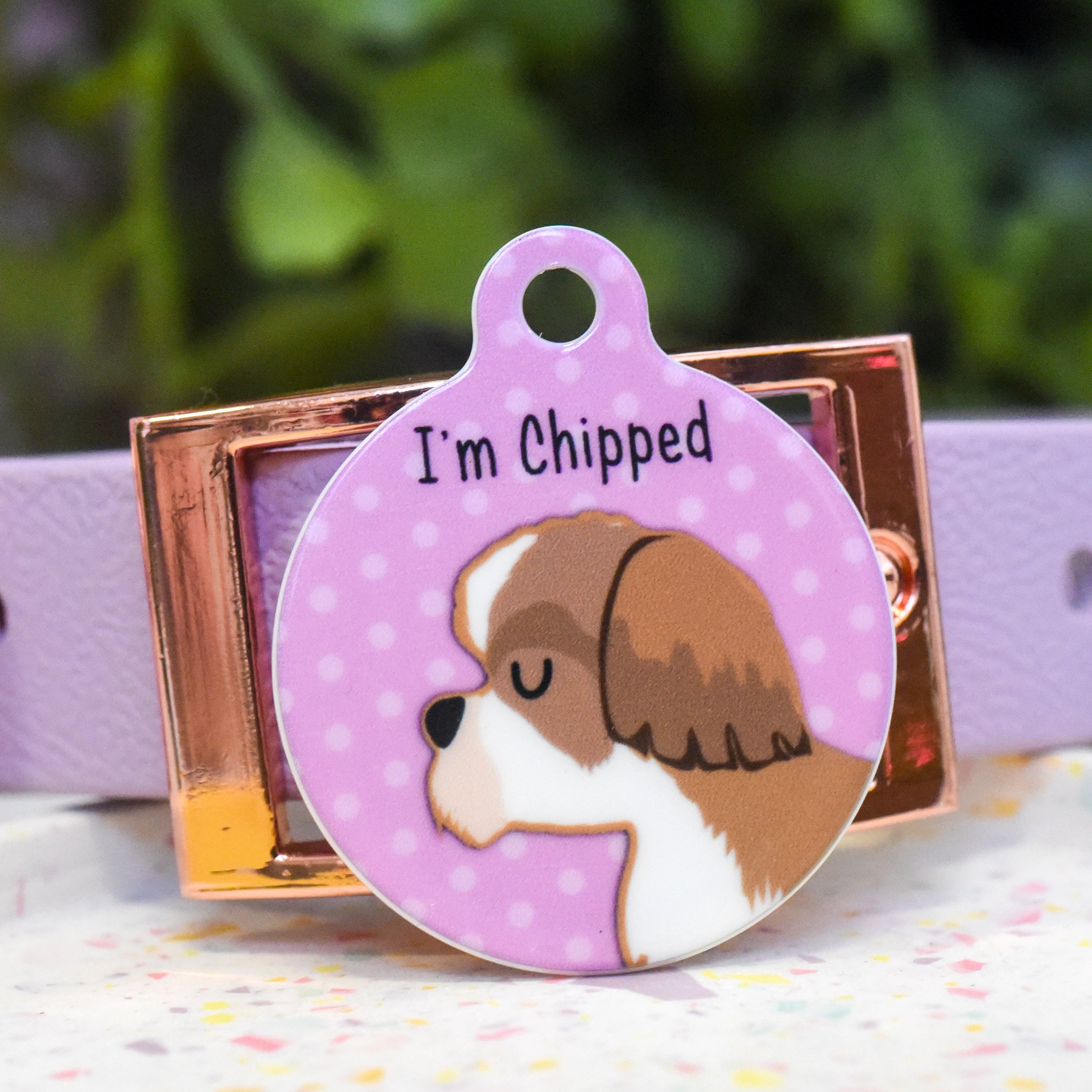 Shik Tag Shih Tzu Dog Tag – Hoobynoo.co.uk