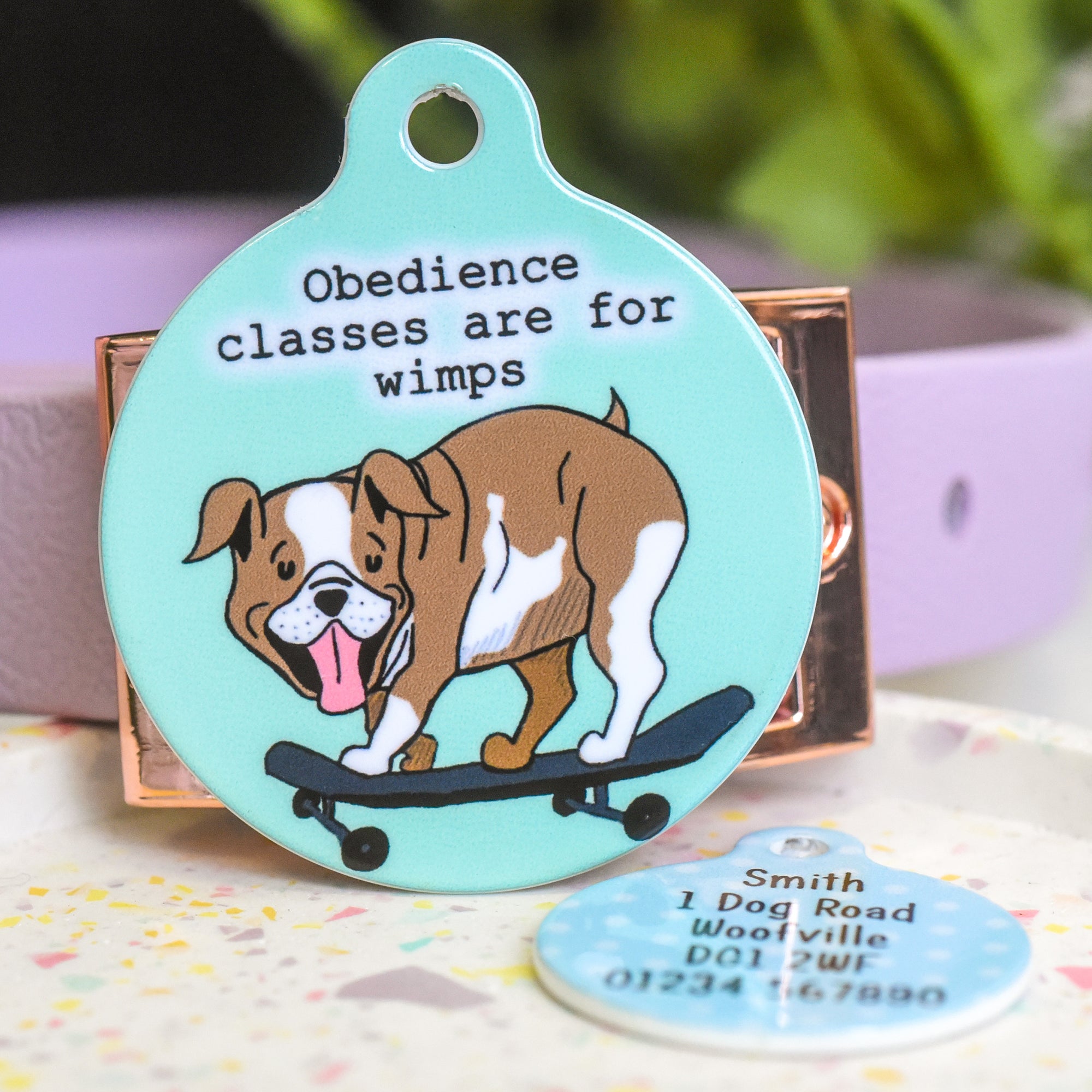 Slogan Dog Tag - Obedience classes are for wimps