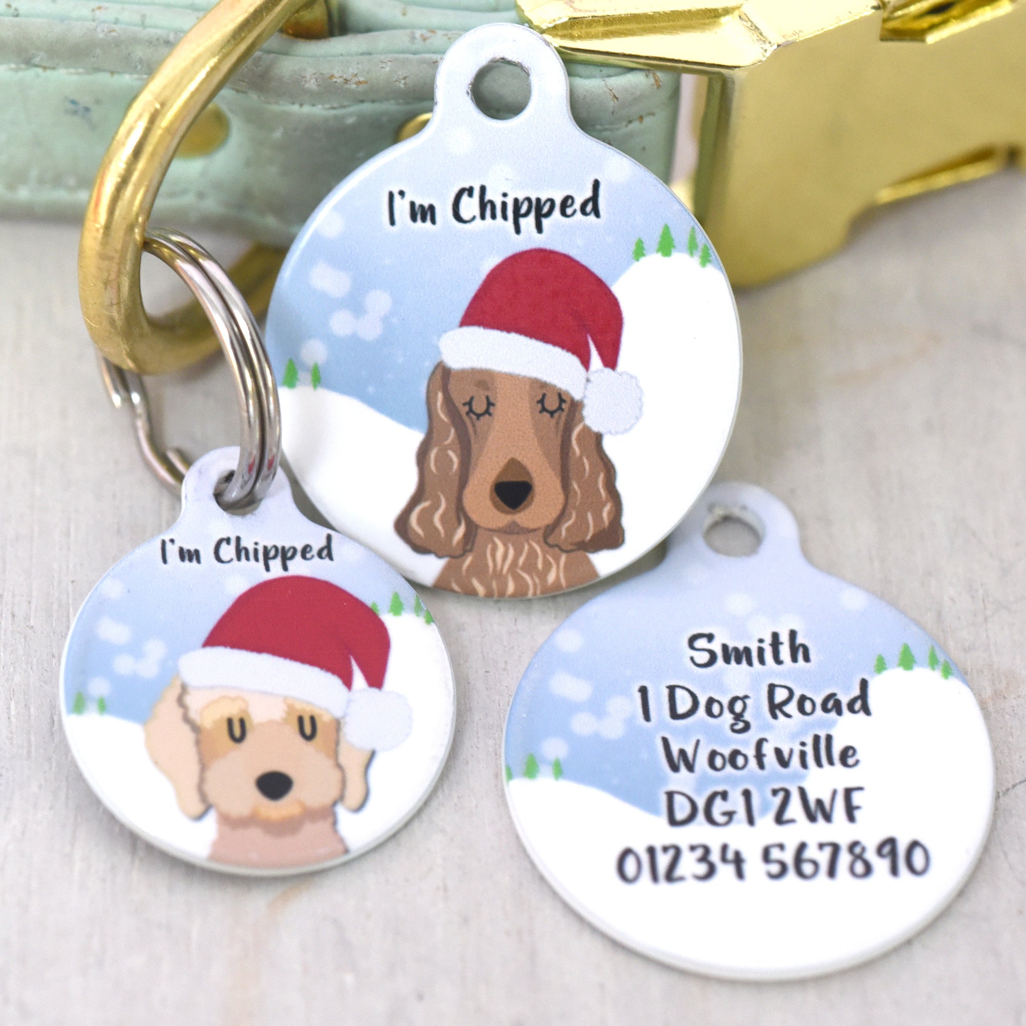 Dog Tag Personalised - Santa Snow Dogs