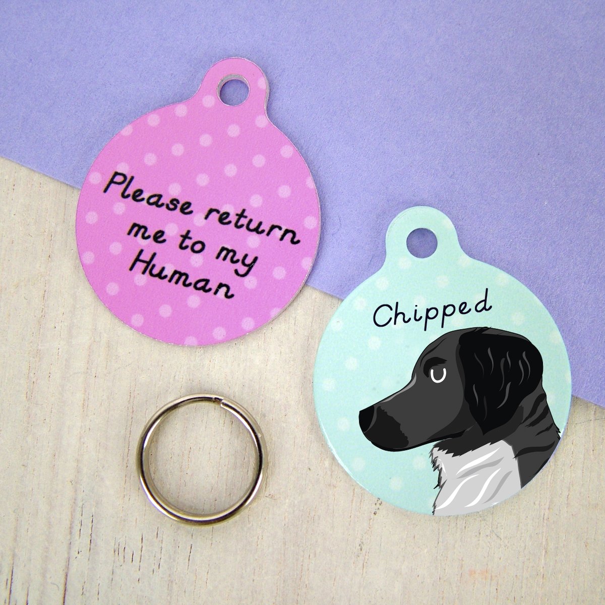 Stabyhoun Personalised Dog ID Tag  - Hoobynoo - Personalised Pet Tags and Gifts