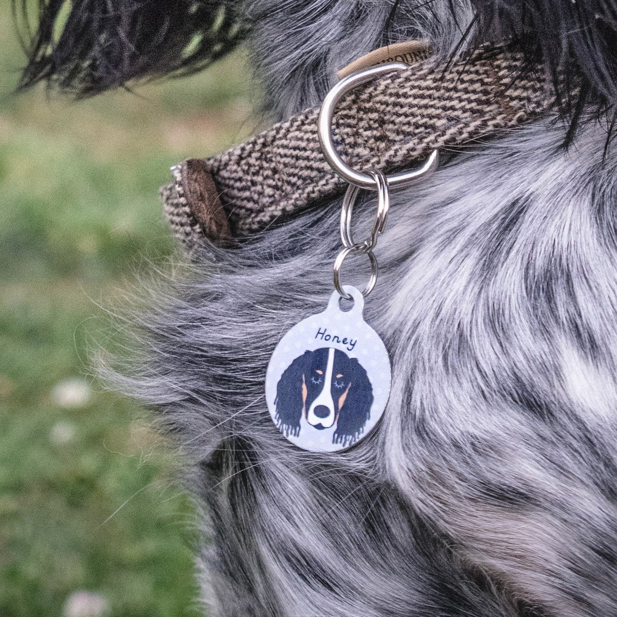 Personalised Springer Spaniel Dog ID Tag  - Hoobynoo - Personalised Pet Tags and Gifts