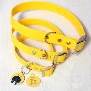 Personalised Dog Collar and Id Tag